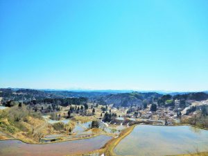４月２４日 現在の棚田情報 星峠の棚田 公式 酒の宿 玉城屋 日本三大薬湯 新潟 松之山温泉