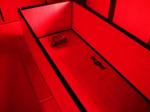 大地の芸術祭 夢を見るための家 夢の家 公式 酒の宿 玉城屋 日本三大薬湯 新潟 松之山温泉