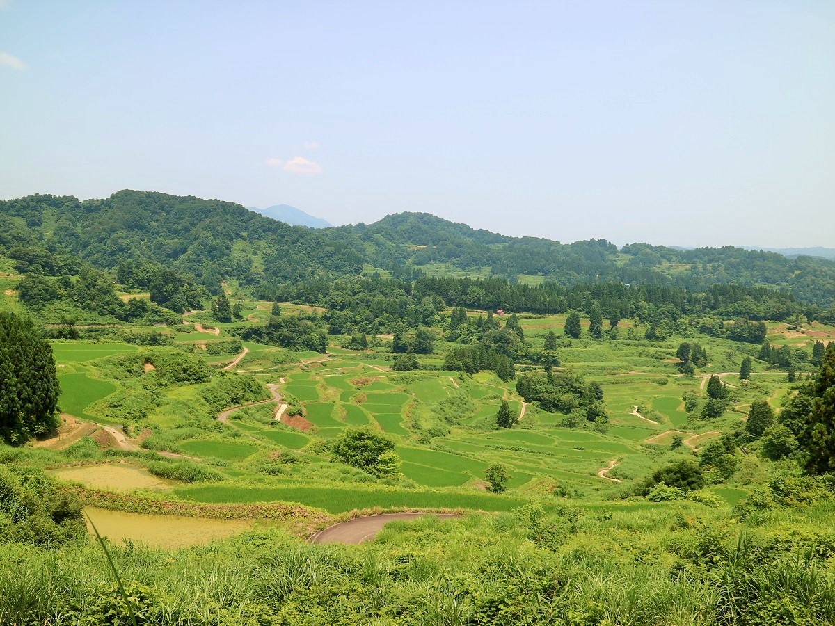 星峠の棚田