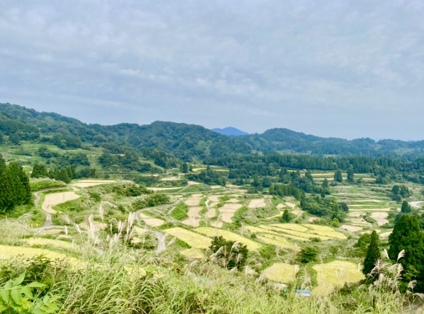 年秋の 星峠の棚田 公式 酒の宿 玉城屋 日本三大薬湯 新潟 松之山温泉